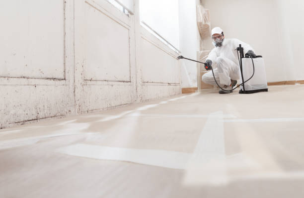 24/7 Emergency Commercial Mold Remediation experts in Oakland, MD