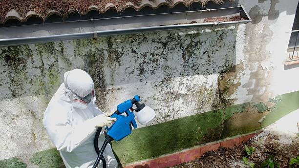 Top rated local Commercial Mold Remediation specialists in Oakland, MD